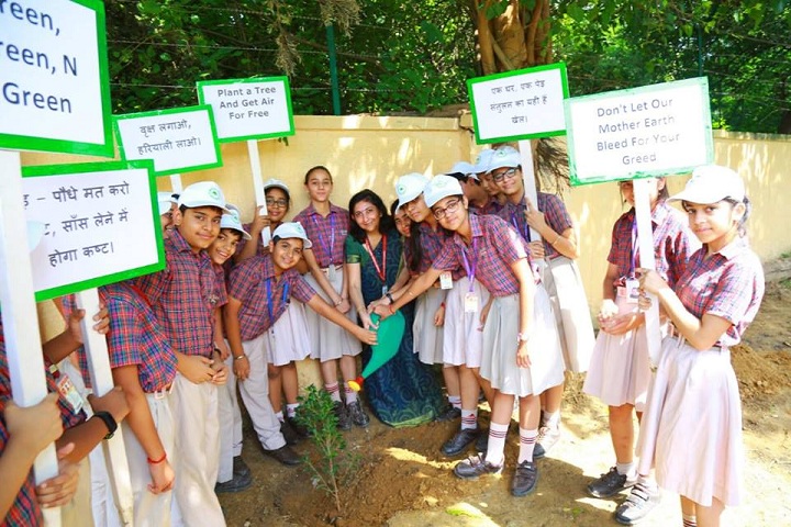 D A V Public School-Plant A Tree