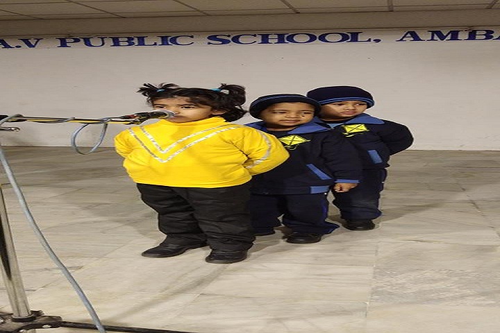 DAV Public School-Activity