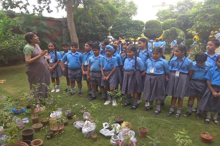 DAV Public School-Plant a Tree