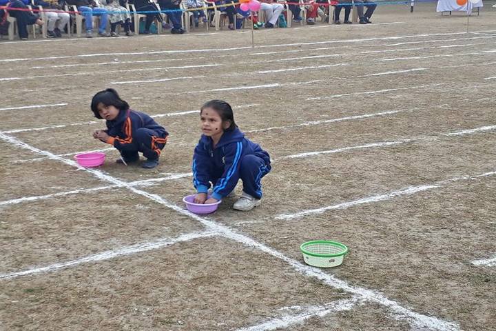 D C Model Senior Secondary School-Activities