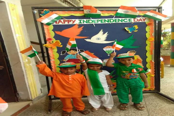 D C Model Senior Secondary School-Independence Day Celebrations