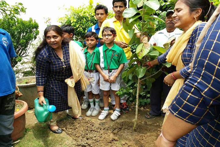 D C Model Senior Secondary School-Plant a Tree Program