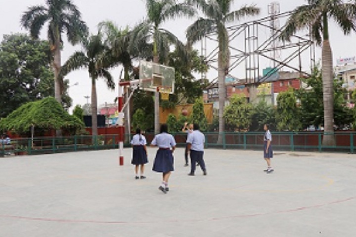 D C Model Senior Secondary School-Volley Ball