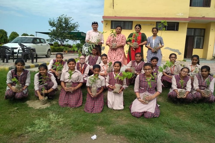 DAV Centenary Public School-Plantation