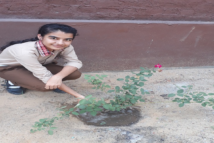 D R A Senior Secondary School-Plantation