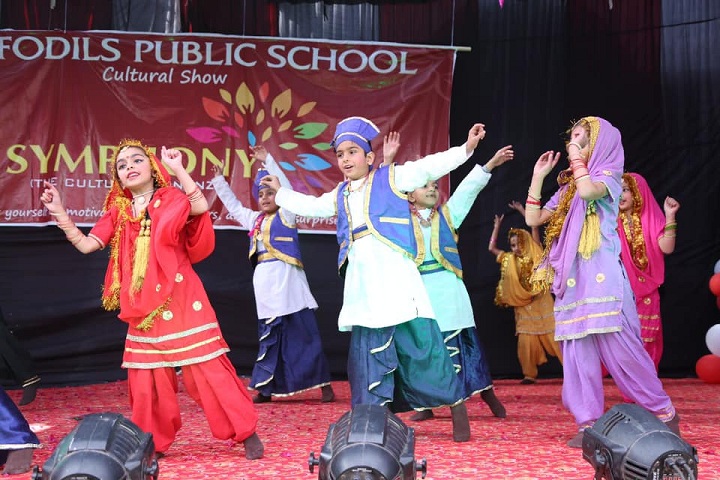 Daffodils Public School-Annual day