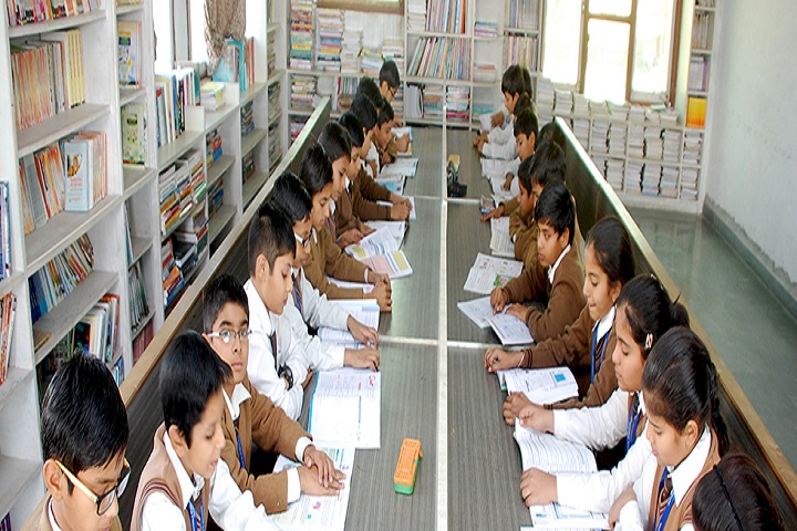 Daffodils Public School-Library