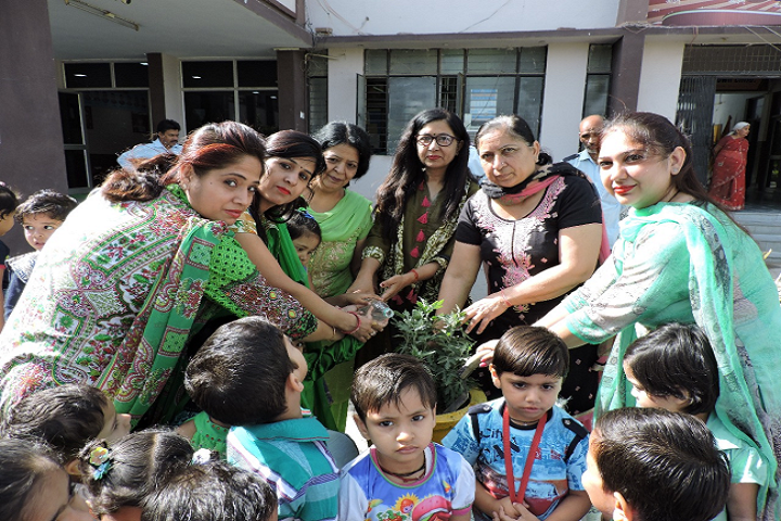 Dav Centenary Public School Sirsa-Plantations