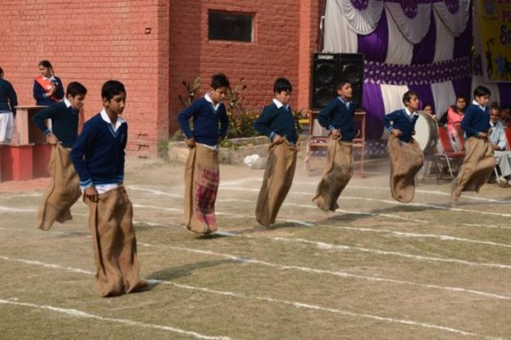 DAV Centernary Public School-Games