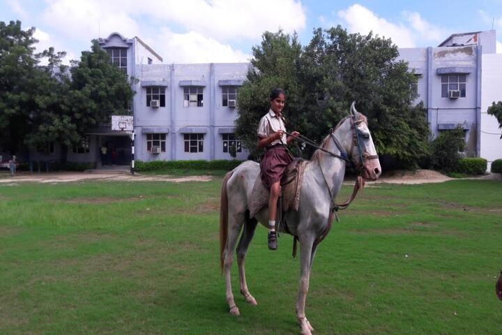 Dav Public School-Horse Riding