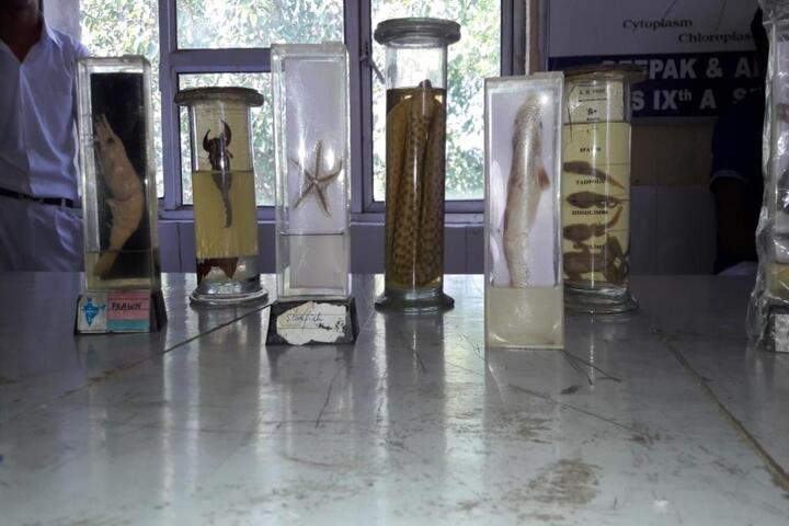 Dav Public School-Lab