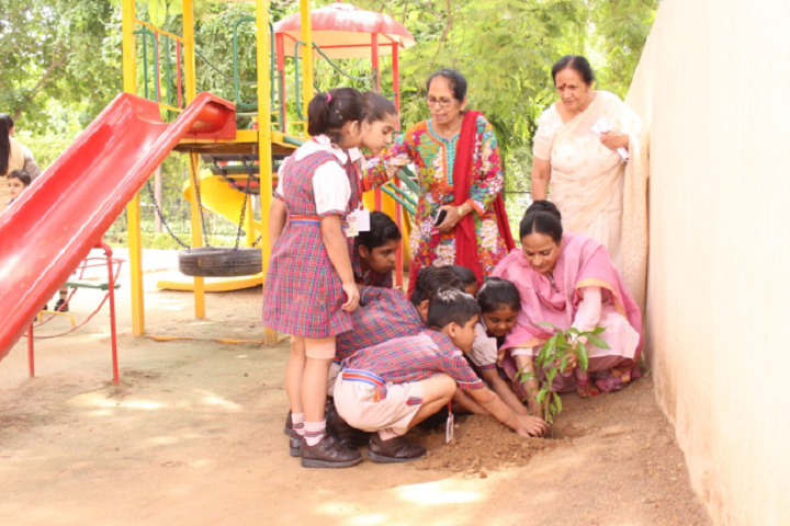 DAV Public School-Planting