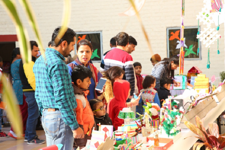 DAV Public School-Science Exhibition