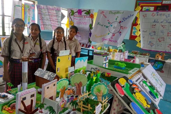 Dav Senior Secondary Public School-Exhibition