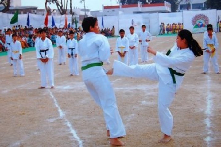 Dayal Singh Public School-Karate