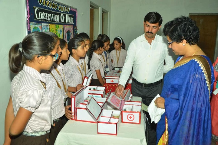 Dayanand Senior Secondary School-Exhibition