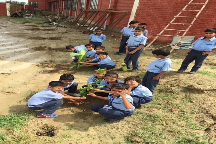 Delhi Heritage International School-Plantation