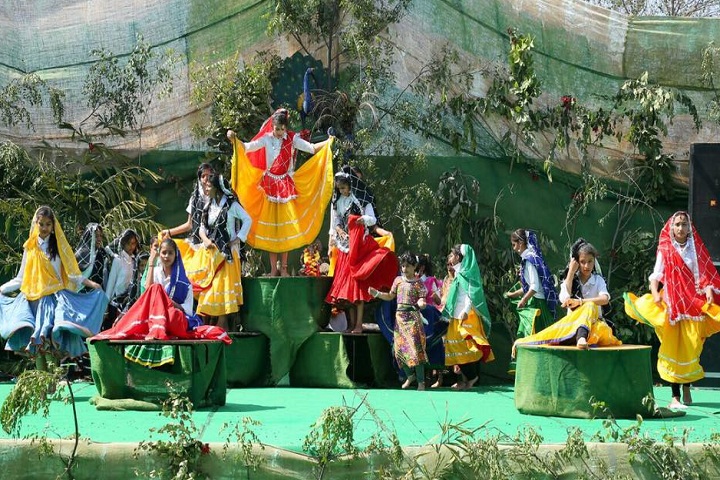 Delhi International Public School-Events