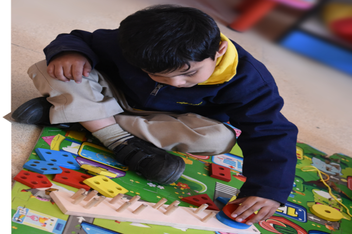 Delhi Public School-Activity Room