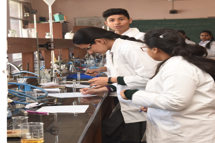 Delhi Public School-Chemistry Lab