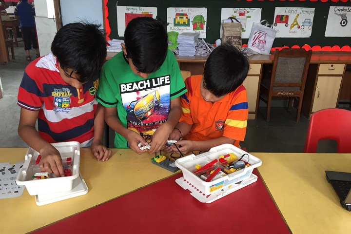 Delhi Public School-Activity