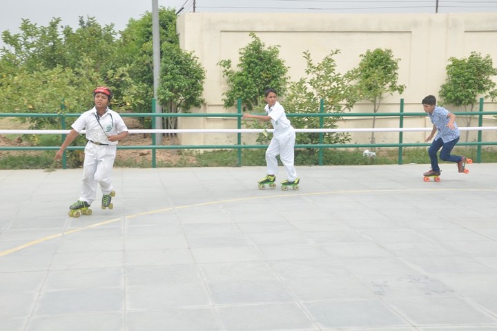 Delhi Public School-Skating