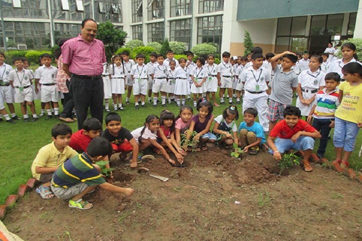 Delhi Public School Ambala-Plantation