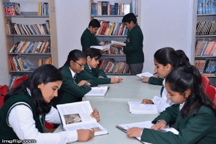 Delhi Public School-Library