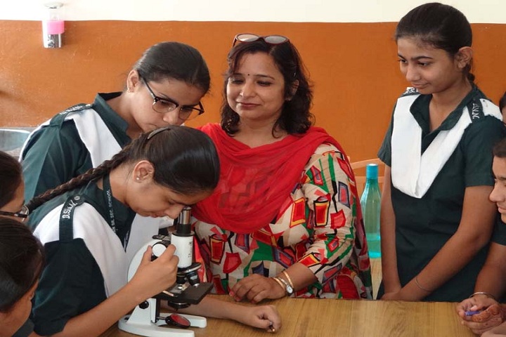 Dev Samaj Vidya Niketan-Physics Lab