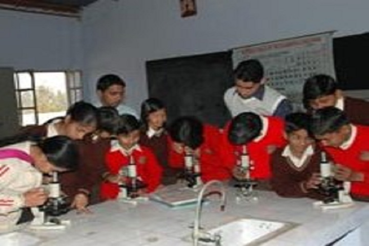 Dewan Bal Krishan Public School-Chemistry Lab