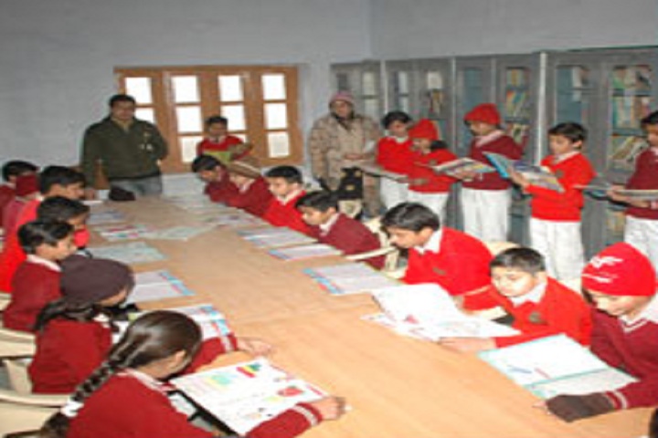 Dewan Bal Krishan Public School-Library