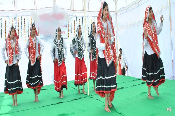 Diamond Valley Senior Secondary School-Annual day