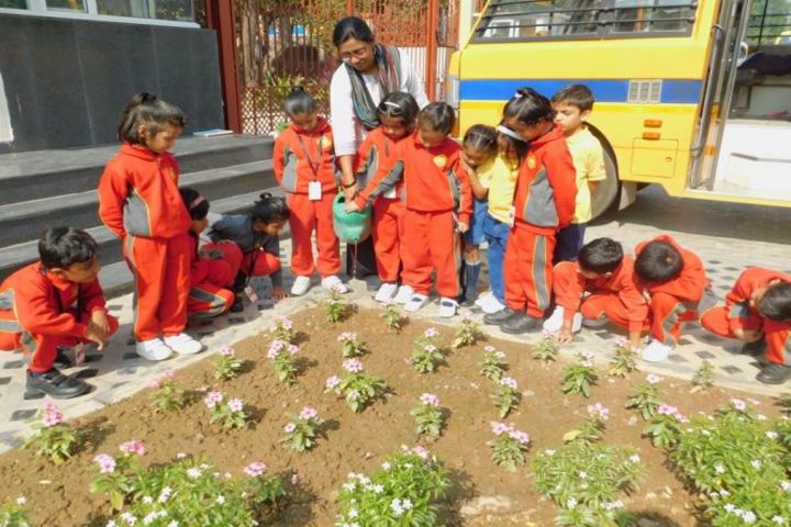 Doon Public School-Outdoor Activity