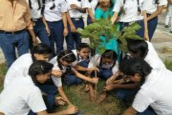 Dronacharya Public School-Plantation