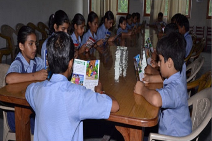 Dyal Singh Public School-Library