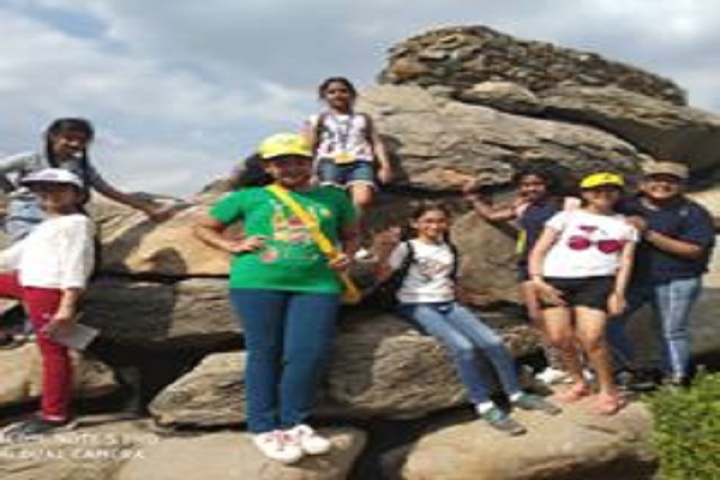 G D Goenka World School-Trip