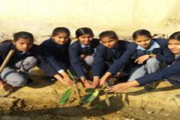 G B Public Senior Secondary School-Earth Day Activity