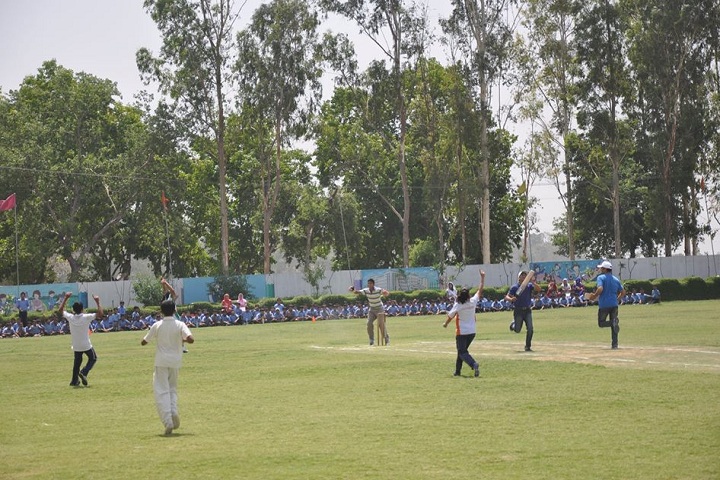 Golden Harrier School-Sports cricket