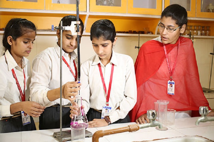 Green Valley Senior Secondary School-Laboratory chemistry