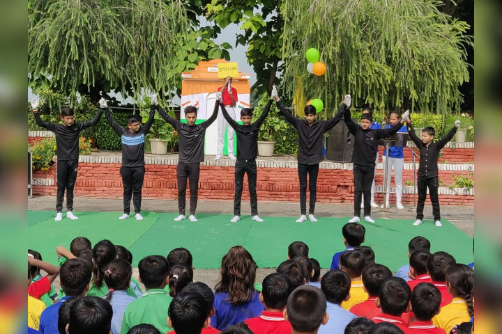 Greenfields Publc School- Activity