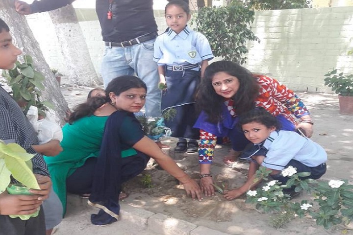 Greenland Public School-Plantation
