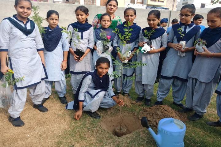 Guru Teg Bahadur Khalsa Public School-Plantation