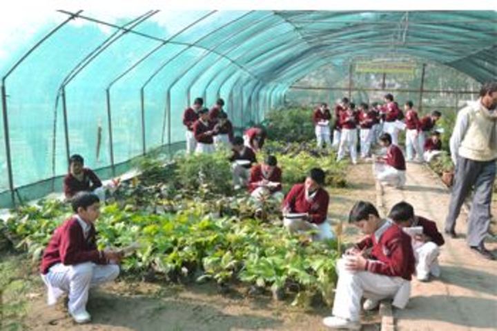 Gurukul-Nursery