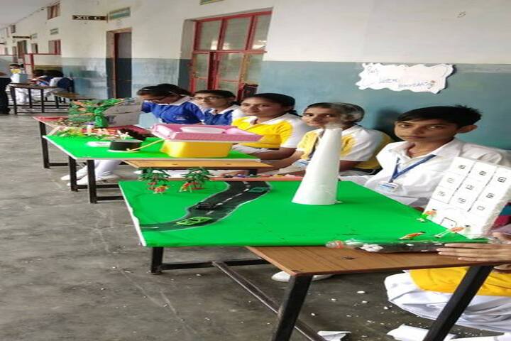 H D Senior Secondary Public School-Science Exhibition