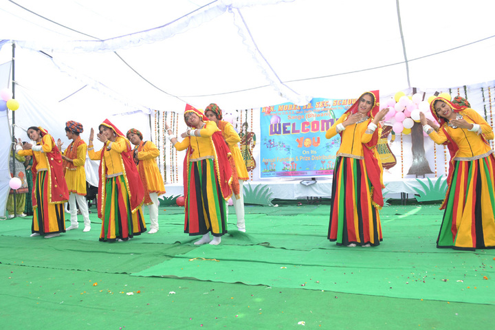 H N Model Senior Secondary School-Annual Day