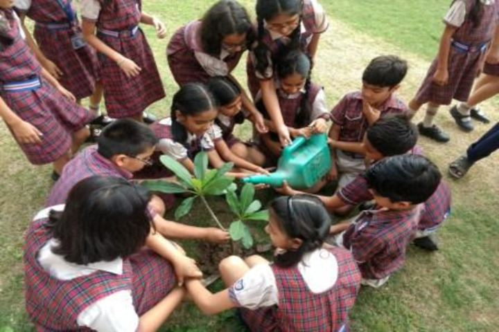 Hansraj Public School-Plantation