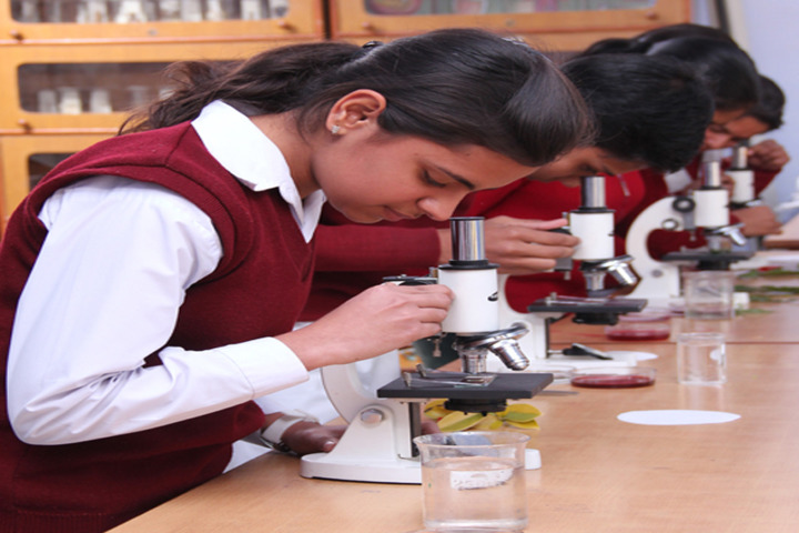 Happy Evergreen Senior Secondary School-Lab