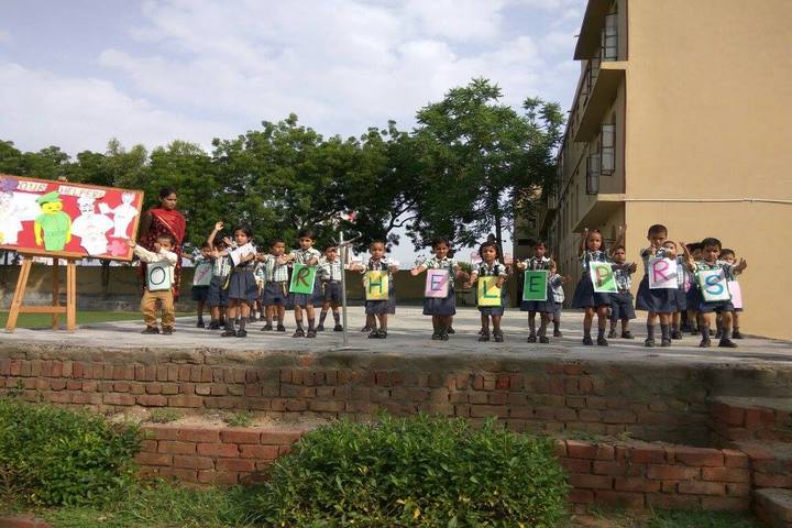 Hardayal Public School-Activity
