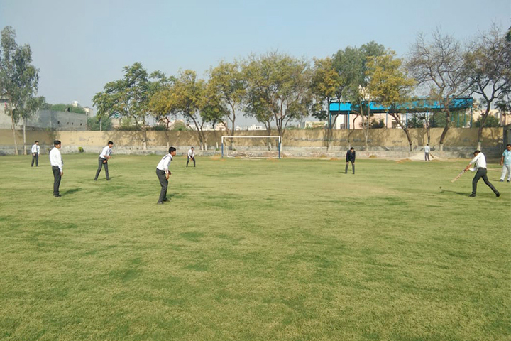 Hardayal Public School-Playground