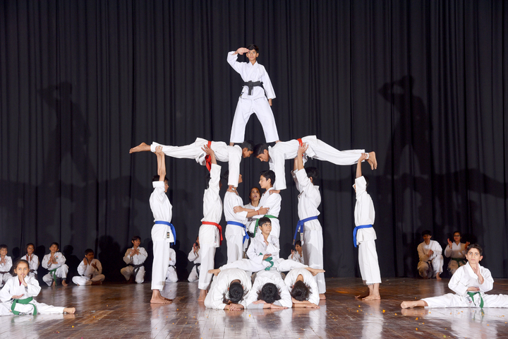 I D Dav Public School-Human Pyramid